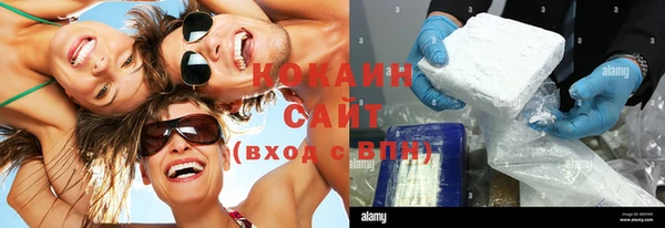 стаф Горняк