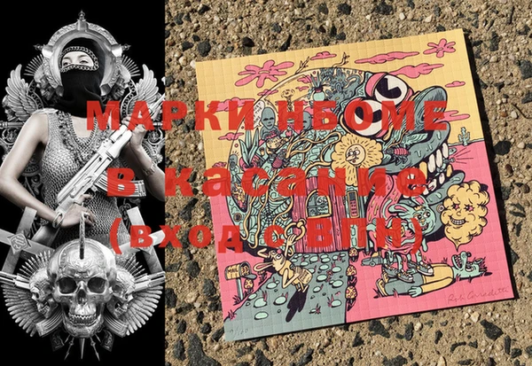 стаф Горняк
