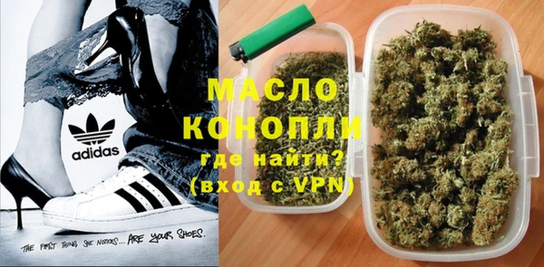 стаф Горняк