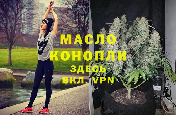 гидропоника Гусиноозёрск