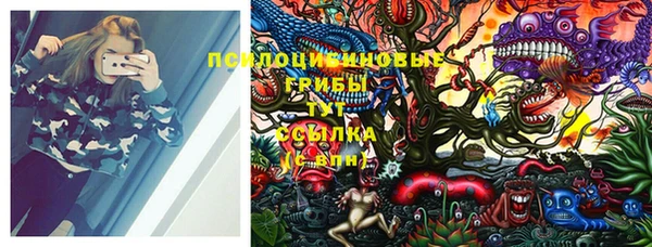 ешки Горно-Алтайск
