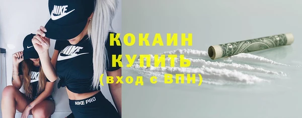 стаф Горняк