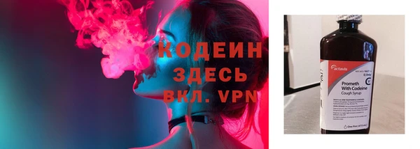 стаф Горняк