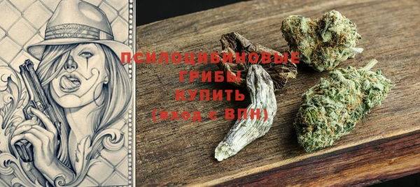 гидропоника Гусиноозёрск
