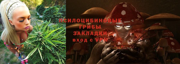 ешки Горно-Алтайск